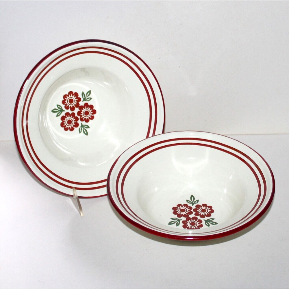 2 Bowl Backyard Vintage Enamelware white red green floral retro Target